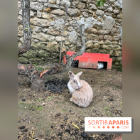 La ferme de Saint-Cyr l'Ecole