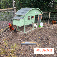 La ferme de Saint-Cyr l'Ecole - image00067