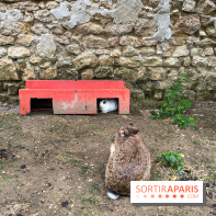 La ferme de Saint-Cyr l'Ecole
