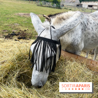 La ferme de Saint-Cyr l'Ecole - image00052