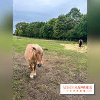 La ferme de Saint-Cyr l'Ecole - image00045
