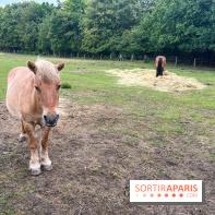 La ferme de Saint-Cyr l'Ecole - image00046