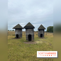 La ferme de Saint-Cyr l'Ecole - image00047