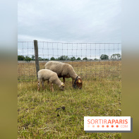 La ferme de Saint-Cyr l'Ecole
