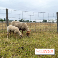 La ferme de Saint-Cyr l'Ecole - image00043
