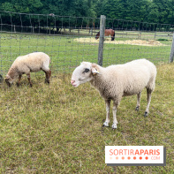 La ferme de Saint-Cyr l'Ecole - image00040