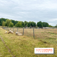 La ferme de Saint-Cyr l'Ecole