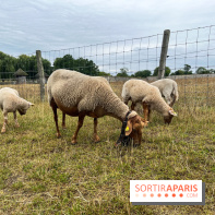 La ferme de Saint-Cyr l'Ecole
