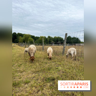La ferme de Saint-Cyr l'Ecole