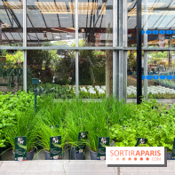 La ferme de Saint-Cyr l'Ecole - image00013