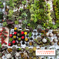 La ferme de Saint-Cyr l'Ecole - image00001