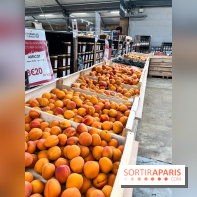 La ferme de Saint-Cyr l'Ecole - image00003