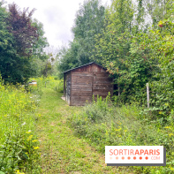 Le parc de la Haute-Île à Neuilly-sur-Marne - image00007