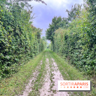 Le parc de la Haute-Île à Neuilly-sur-Marne - image00003