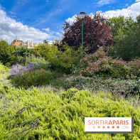 Le parc Georges Brassens, pour se croire à la campagne dans le 15e - image00060