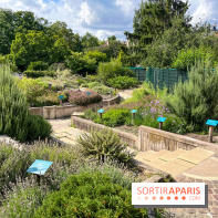 Le parc Georges Brassens, pour se croire à la campagne dans le 15e - image00065