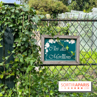 Le parc Georges Brassens, pour se croire à la campagne dans le 15e - image00030