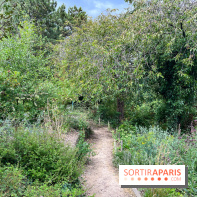 Le parc Georges Brassens, pour se croire à la campagne dans le 15e - image00023