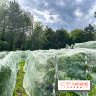 Le parc Georges Brassens, pour se croire à la campagne dans le 15e
