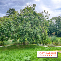 Le parc Georges Brassens, pour se croire à la campagne dans le 15e