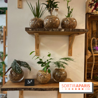 Boby la Plante