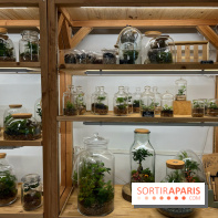 Boby la Plante
