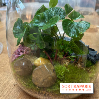 Boby la Plante