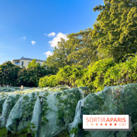 Vignes de Belleville - image00006