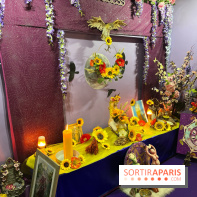 Les Mists Terre d'Avalon - IMG 4556