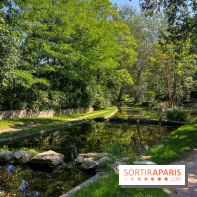 Les lacs et rivières du Vésinet, dans les Yvelines - image00018