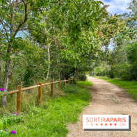 L'étang de la Galiotte dans le parc du Peuple de l'Herbe - Carrières-sous-Poissy (Yvelines)