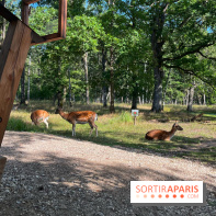 Espace Rambouillet - IMG 4417