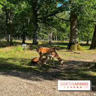 Espace Rambouillet