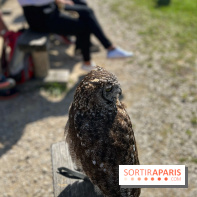 Espace Rambouillet - IMG 4454