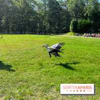 Espace Rambouillet - IMG 4462