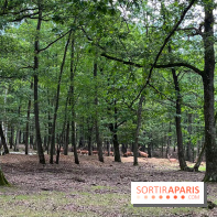 Espace Rambouillet - IMG 4517