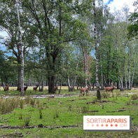 Espace Rambouillet
