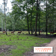 Espace Rambouillet