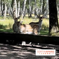 Espace Rambouillet - IMG 4544