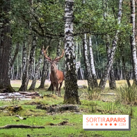 Espace Rambouillet - IMG 4546