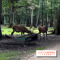 Espace Rambouillet