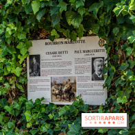 Bourron-Marlotte, village de Seine-et-Marne -  A7C9334