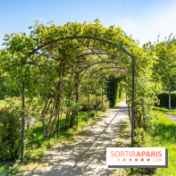 Parc de La Croix du Bois à Voisins-le-Bretonneux -  A7C4049