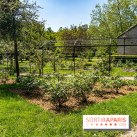 Parc de La Croix du Bois à Voisins-le-Bretonneux -  A7C4052