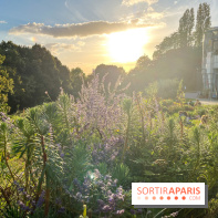 Le parc de Belleville - image00027