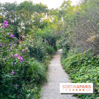 Le parc de Belleville - image00019