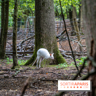 Le village de Janvry en Haute Vallée de Chevreuse  -  A7C0015
