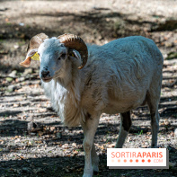 Le village de Janvry en Haute Vallée de Chevreuse  -  A7C0060