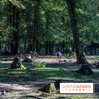Le village de Janvry en Haute Vallée de Chevreuse  -  A7C0063