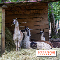 Le village de Janvry en Haute Vallée de Chevreuse  -  A7C0046